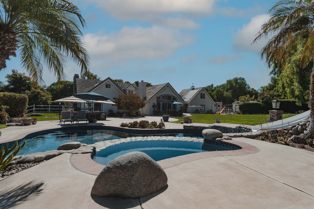 Backyard swimming pool surrounded by palm trees and landscaping