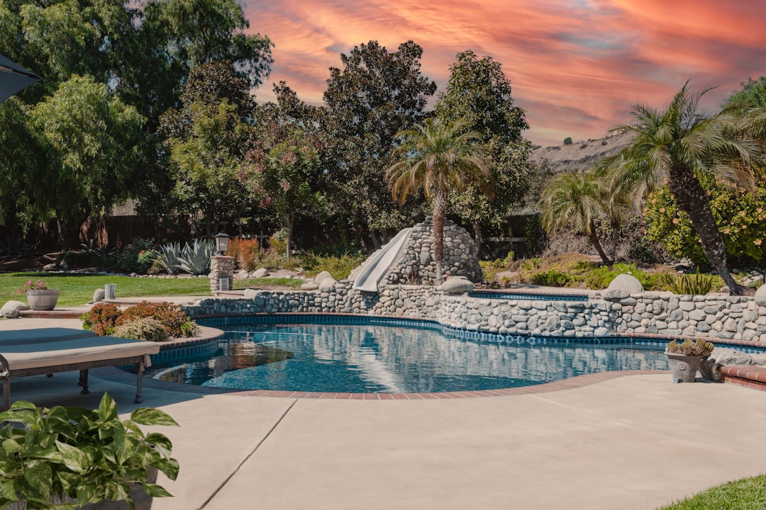 Swimming pool with water slide in backyard